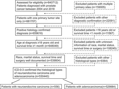 Neuroendocrine Carcinoma as an Independent Prognostic Factor for Patients With Prostate Cancer: A Population-Based Study